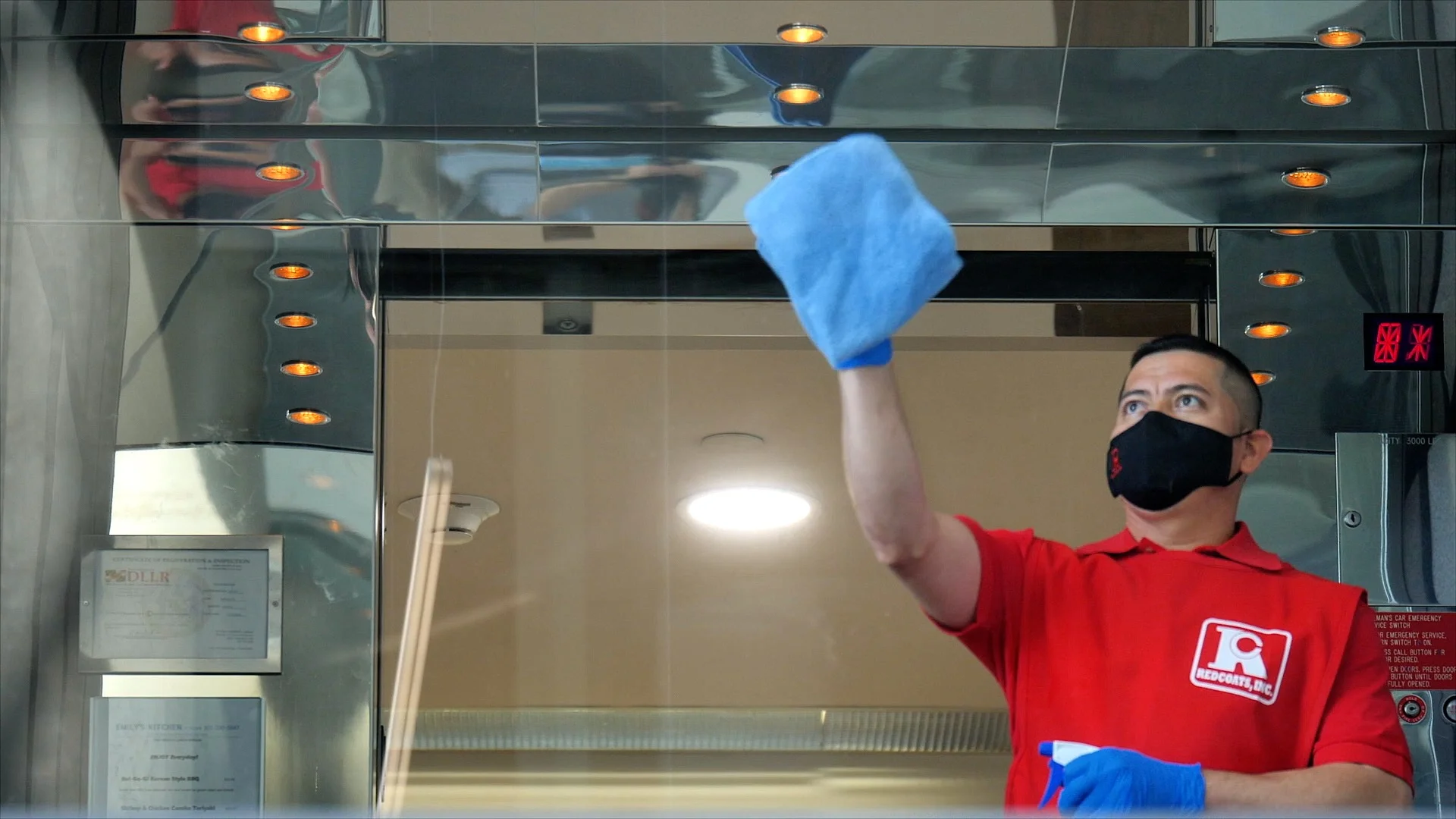 clean and green cleaning services